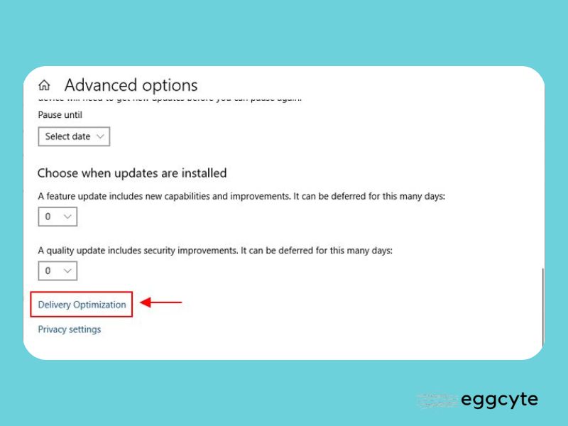 Pilih Delivery Optimization